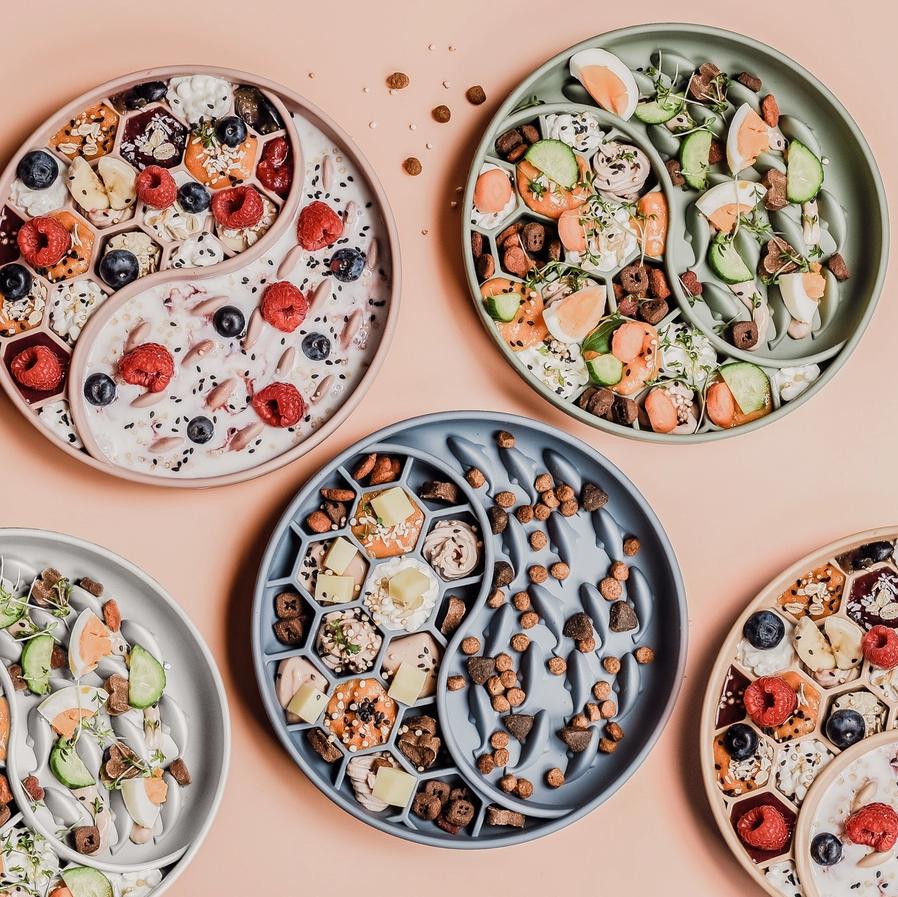 Slow Feeder Bowl